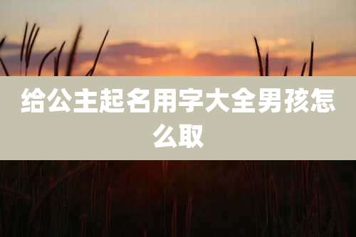 给公主起名用字大全男孩怎么取