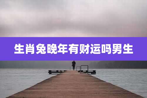 生肖兔晚年有财运吗男生