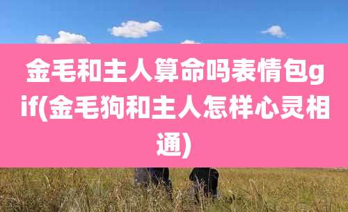金毛和主人算命吗表情包gif(金毛狗和主人怎样心灵相通)
