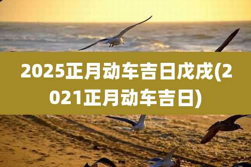 2025正月动车吉日戊戌(2021正月动车吉日)