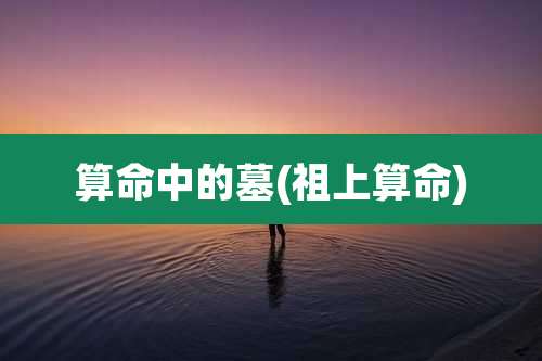 算命中的墓(祖上算命)