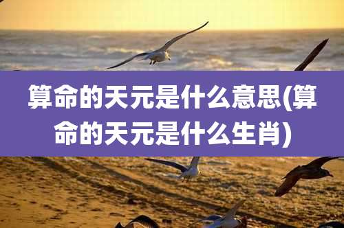 算命的天元是什么意思(算命的天元是什么生肖)
