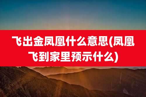 飞出金凤凰什么意思(凤凰飞到家里预示什么)