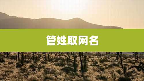 管姓取网名