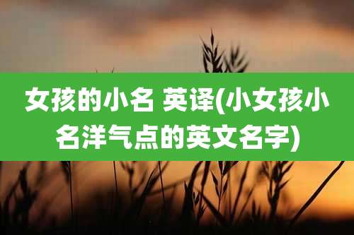 女孩的小名 英译(小女孩小名洋气点的英文名字)