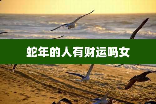 蛇年的人有财运吗女