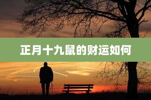 正月十九鼠的财运如何