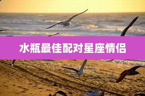 水瓶最佳配对星座情侣
