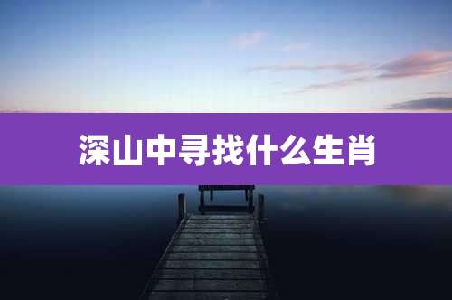 深山中寻找什么生肖