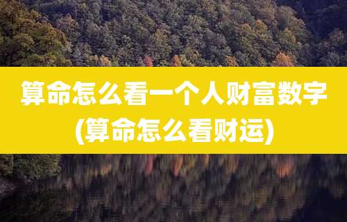 算命怎么看一个人财富数字(算命怎么看财运)