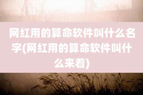 网红用的算命软件叫什么名字(网红用的算命软件叫什么来着)