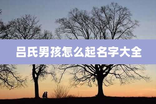 吕氏男孩怎么起名字大全