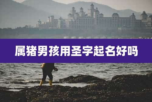 属猪男孩用圣字起名好吗