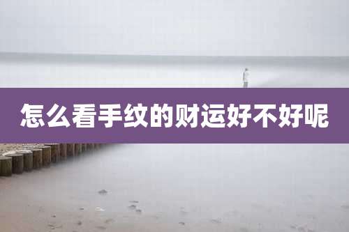 怎么看手纹的财运好不好呢
