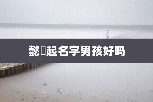 懿旸起名字男孩好吗