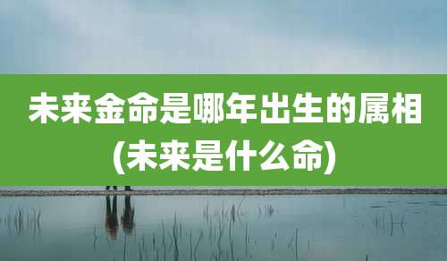 未来金命是哪年出生的属相(未来是什么命)