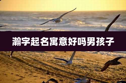 瀚字起名寓意好吗男孩子