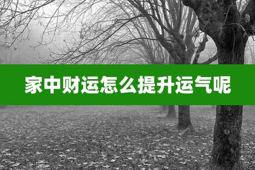 家中财运怎么提升运气呢