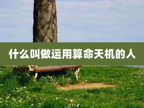 什么叫做运用算命天机的人