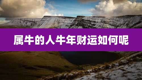 属牛的人牛年财运如何呢