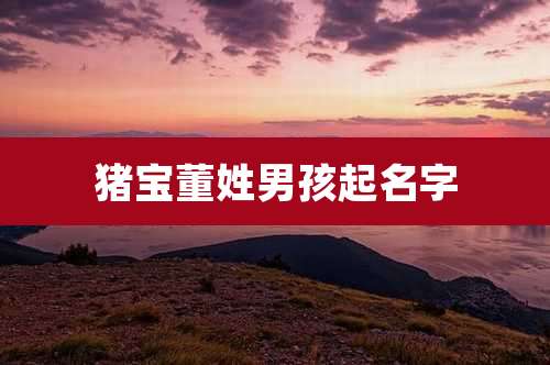 猪宝董姓男孩起名字