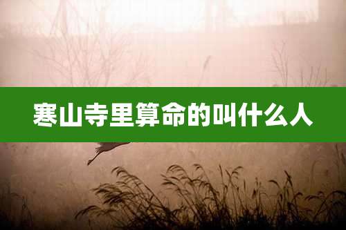 寒山寺里算命的叫什么人