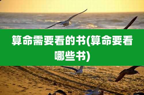 算命需要看的书(算命要看哪些书)