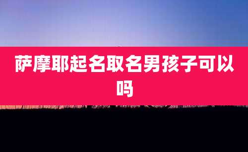 萨摩耶起名取名男孩子可以吗
