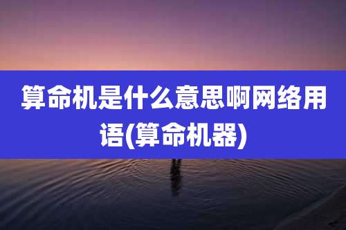 算命机是什么意思啊网络用语(算命机器)