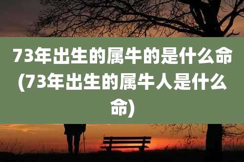 73年出生的属牛的是什么命(73年出生的属牛人是什么命)