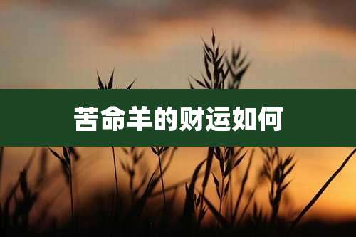 苦命羊的财运如何