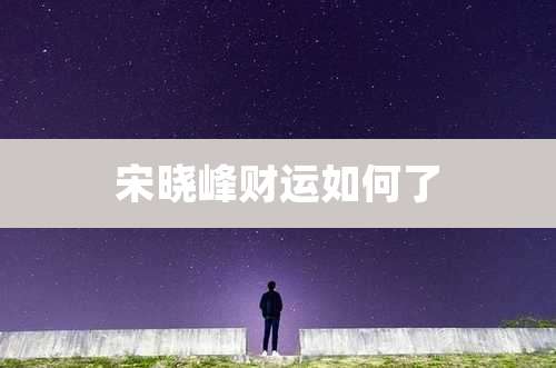 宋晓峰财运如何了