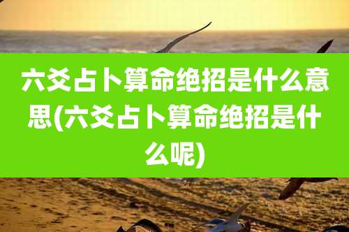 六爻占卜算命绝招是什么意思(六爻占卜算命绝招是什么呢)