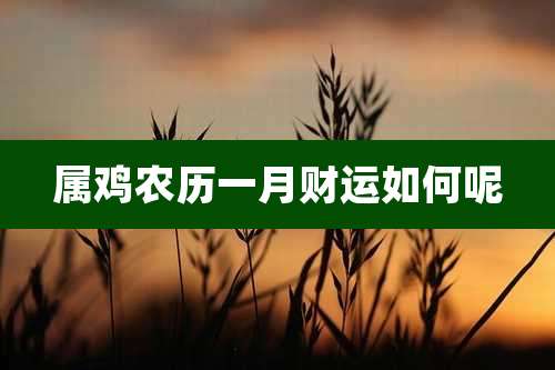属鸡农历一月财运如何呢