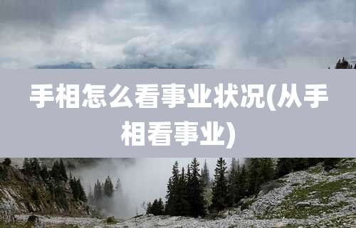 手相怎么看事业状况(从手相看事业)