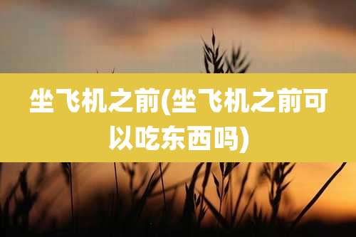 坐飞机之前(坐飞机之前可以吃东西吗)