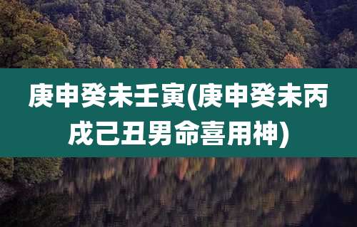 庚申癸未壬寅(庚申癸未丙戌己丑男命喜用神)