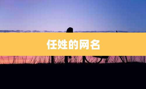 任姓的网名