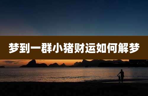 梦到一群小猪财运如何解梦