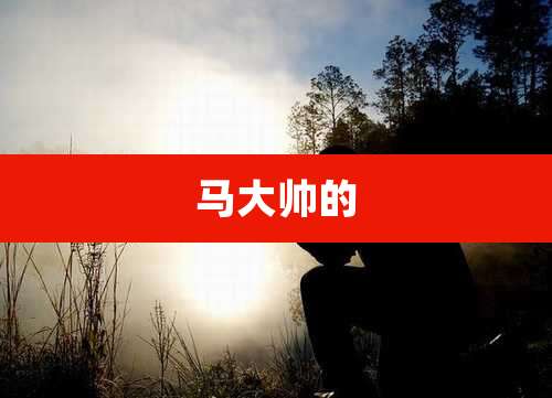 马大帅的