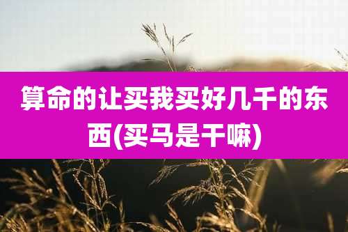 算命的让买我买好几千的东西(买马是干嘛)