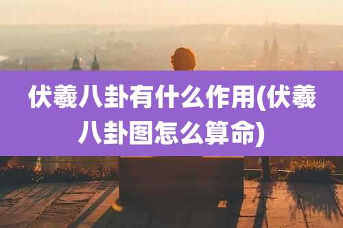 伏羲八卦有什么作用(伏羲八卦图怎么算命)
