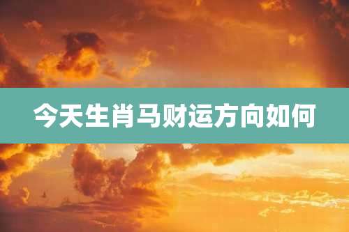 今天生肖马财运方向如何