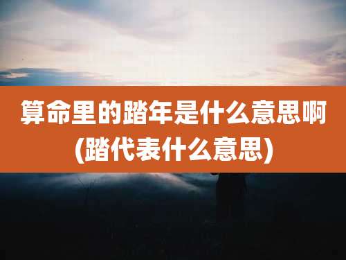 算命里的踏年是什么意思啊(踏代表什么意思)