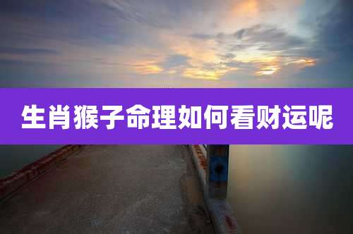 生肖猴子命理如何看财运呢