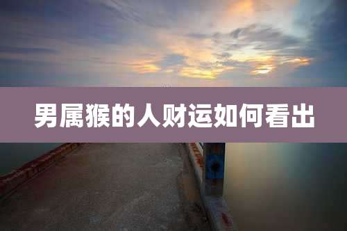 男属猴的人财运如何看出