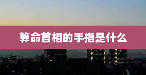 算命首相的手指是什么