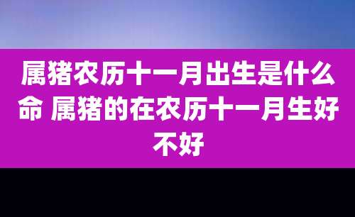 属猪农历十一月出生是什么命 属猪的在农历十一月生好不好