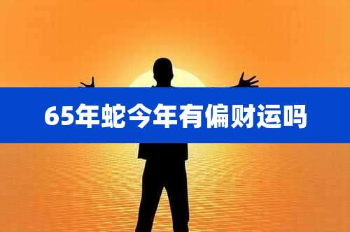 65年蛇今年有偏财运吗