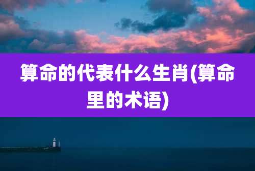 算命的代表什么生肖(算命里的术语)